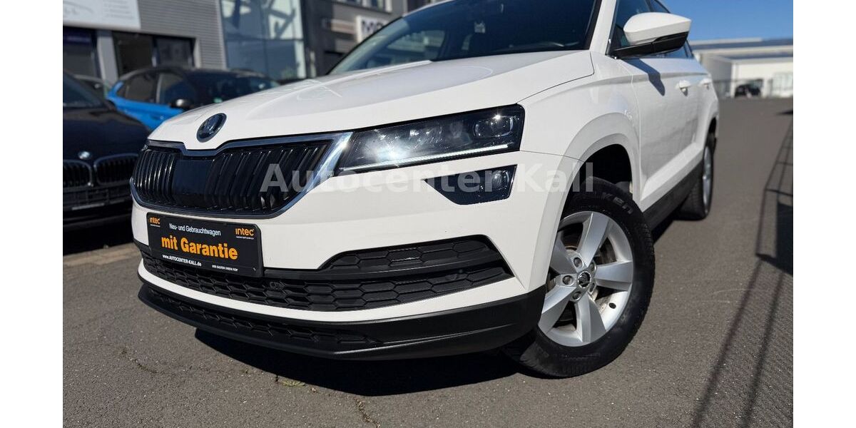 Skoda Karoq 176.000 km 13.690 &euro; Kall 53925