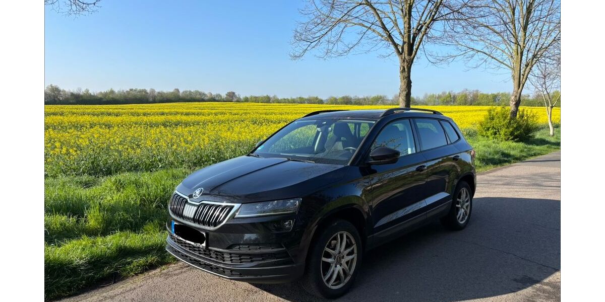 Skoda Karoq 129.817 km 15.700 &euro; Düren 52355