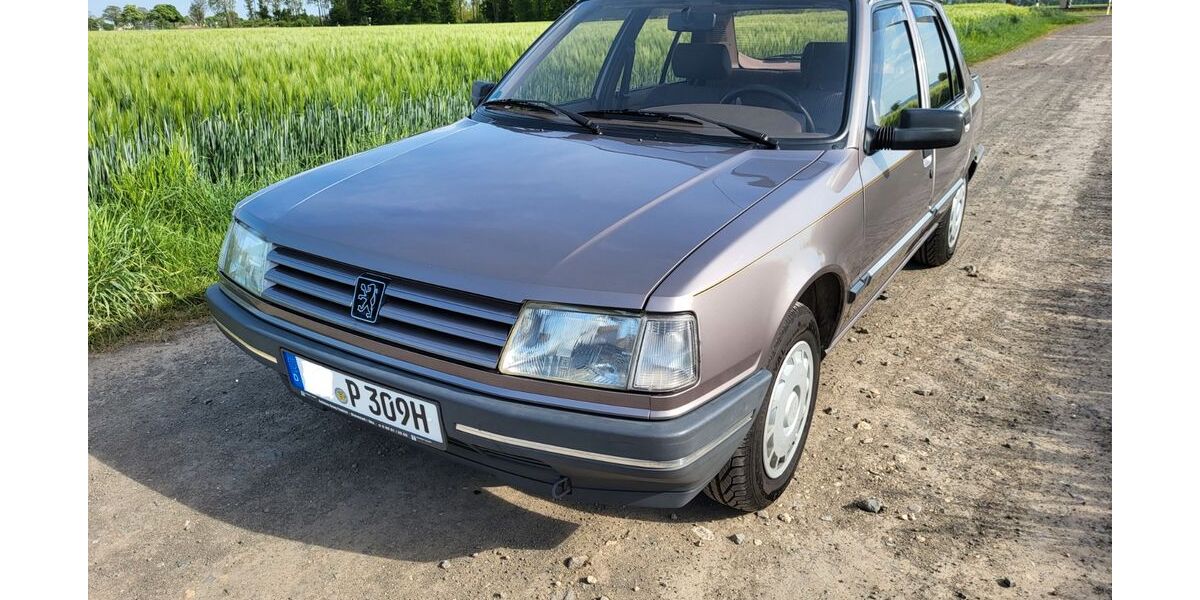 Peugeot 309 124.000 km 3.900 &euro; Rheinbach 53359