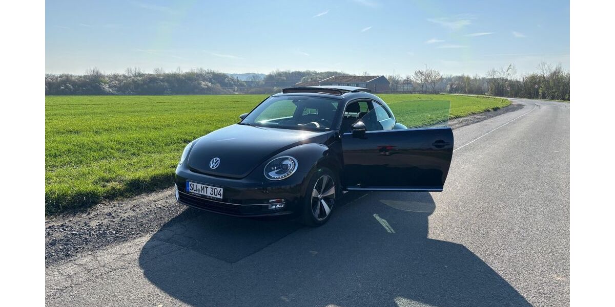 VW Beetle 154.000 km 7.000 &euro; Königswinter 53639