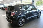 Jeep Renegade 1.4 MultiAir Limited 130.234 km 7.980 &euro; Euskirchen 53881