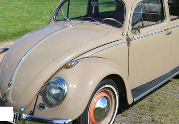 VW Käfer 54.238 km 34.457 &euro; Alfter 53347