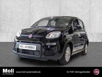 Gebrauchte Fiat Panda